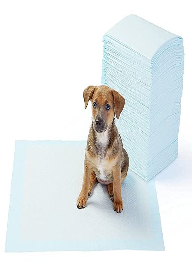Pet Believe فوط تدريب الكلاب من بيت بيليف، سطح سريع الجفاف وقلب ماص، مناسبة لجميع سلالات الجراء والكلاب والقطط - (عبوة من 40 قطعة) المقاس: 60 × 90 سم - Image 1
